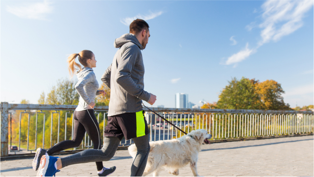 규칙적인 운동 및 산책하기