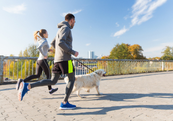 규칙적인 운동 및 산책하기