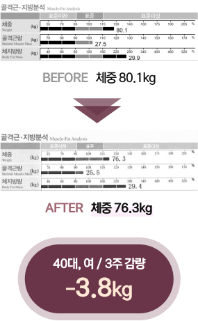 체감정 인바디 결과2