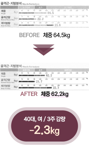 체감정 인바디 결과3