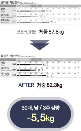 광덕안정 인바디 결과2