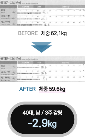 남성 인바디 결과2