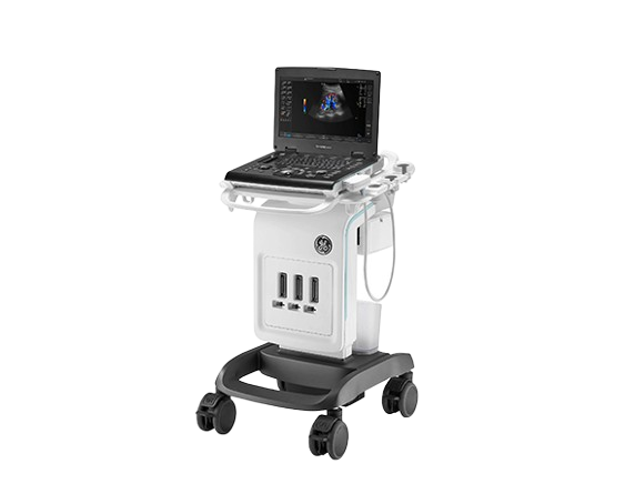 광덕안정 강남한방병원 초음파영상진단기(Versana Active)