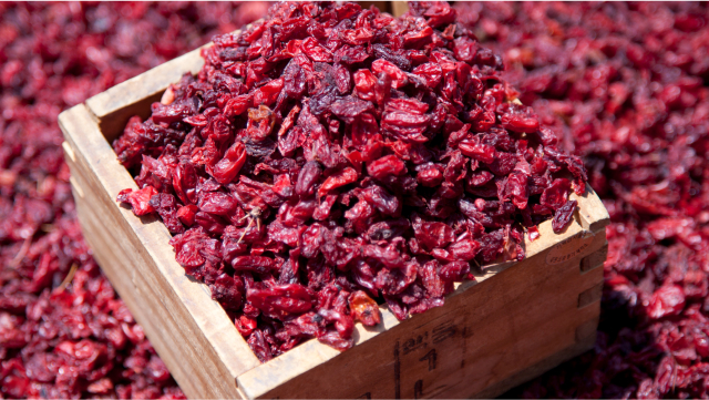 공진단 주요원료 산수유