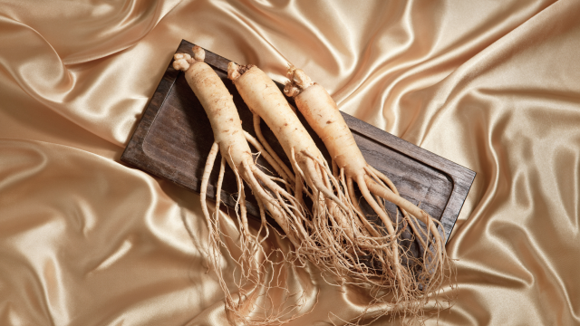 식약처 GMP 인증