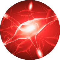 약침효능 호르몬 활성도 UP!